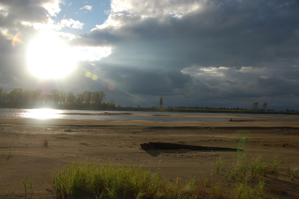 Нужна ли дача?