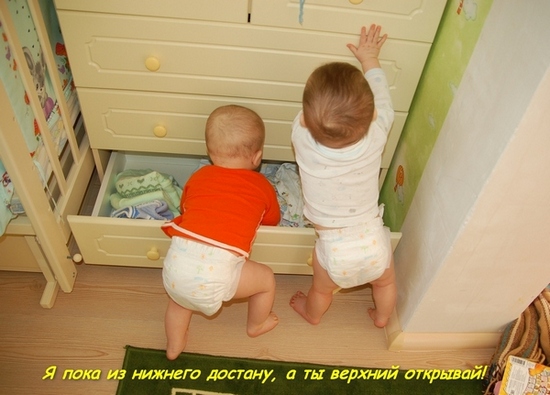 Вот и мы начинаем шкодить или первая загородка