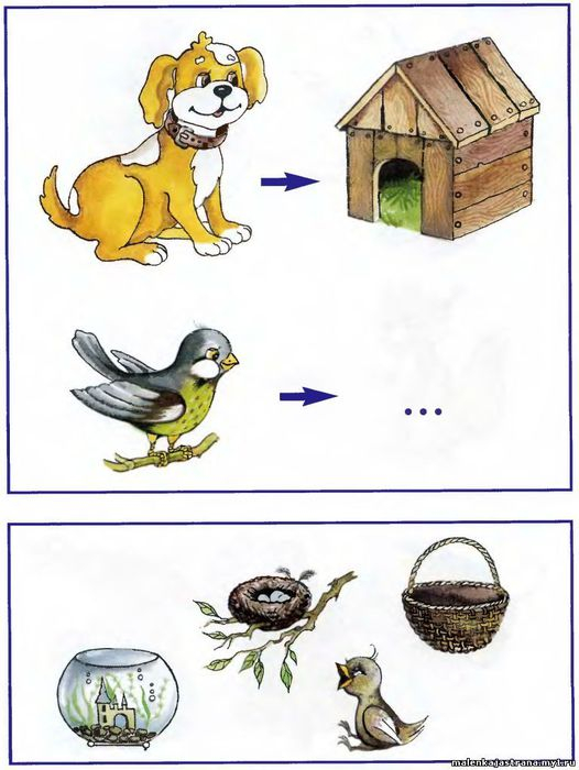 Опять логика!)))