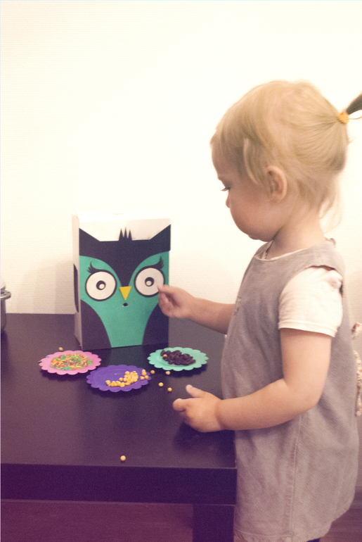 Накорми друга - сова из коробки.