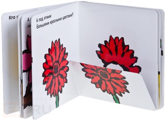 Новая книжка