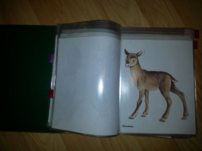 Продам пособия в картинках для маленьких ребят все за 500 руб.