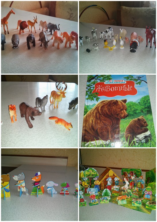 Наши игры с животными)