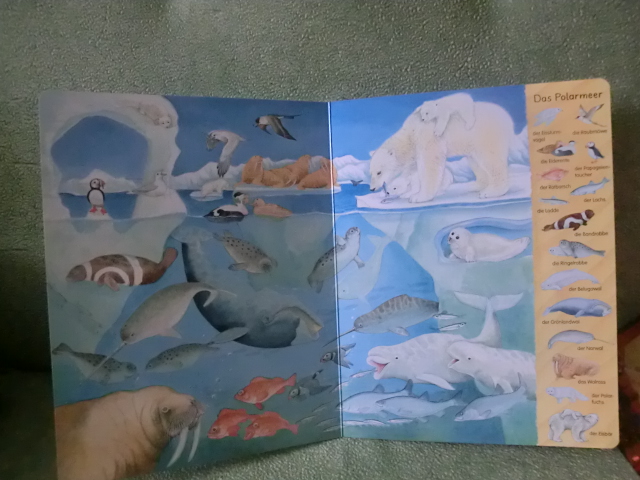 Виммельбух про морских обитателей  или Mein erstes Wimmelbuch - Am Meer