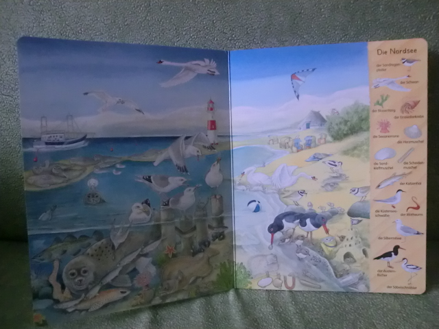 Виммельбух про морских обитателей  или Mein erstes Wimmelbuch - Am Meer