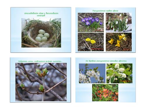 Тематическое занятие Весеннее солнышко