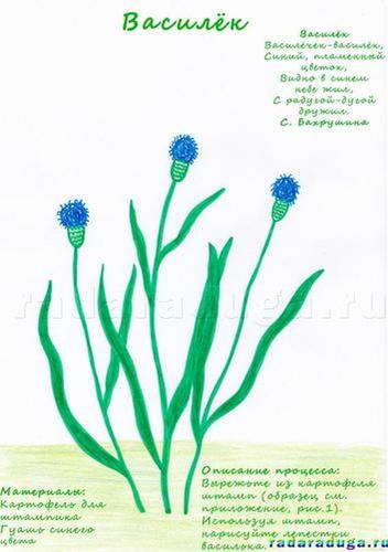 Летний альбом. Часть 1. Цветы. Творчество.