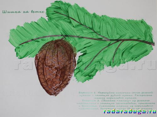 Тематическое занятие Шишки