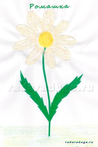 Тематическое занятие Ромашка
