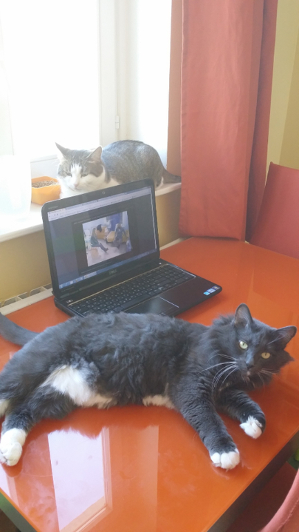 Пикет по поводу..