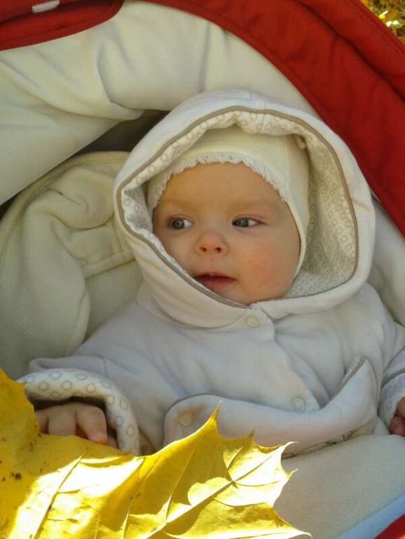 растем: 7 месяцев