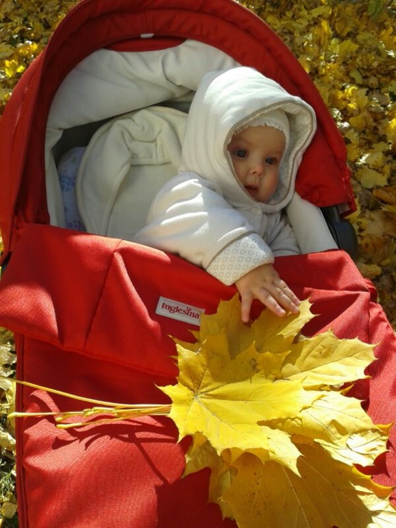 растем: 7 месяцев