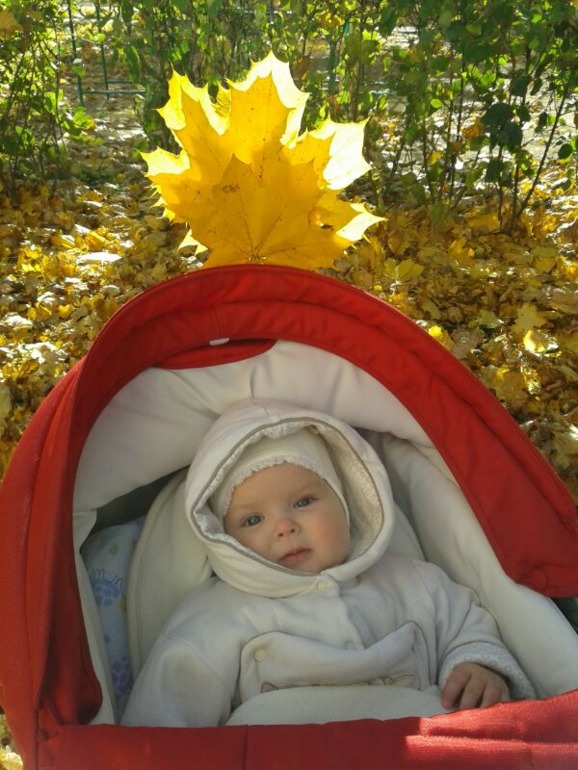 растем: 7 месяцев