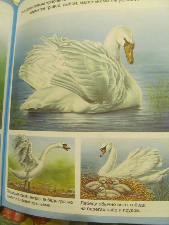 Отчет по ТЗ