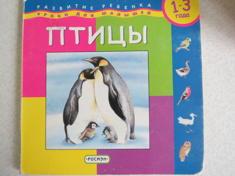 ТН "Как растут овощи" Отчет день 4