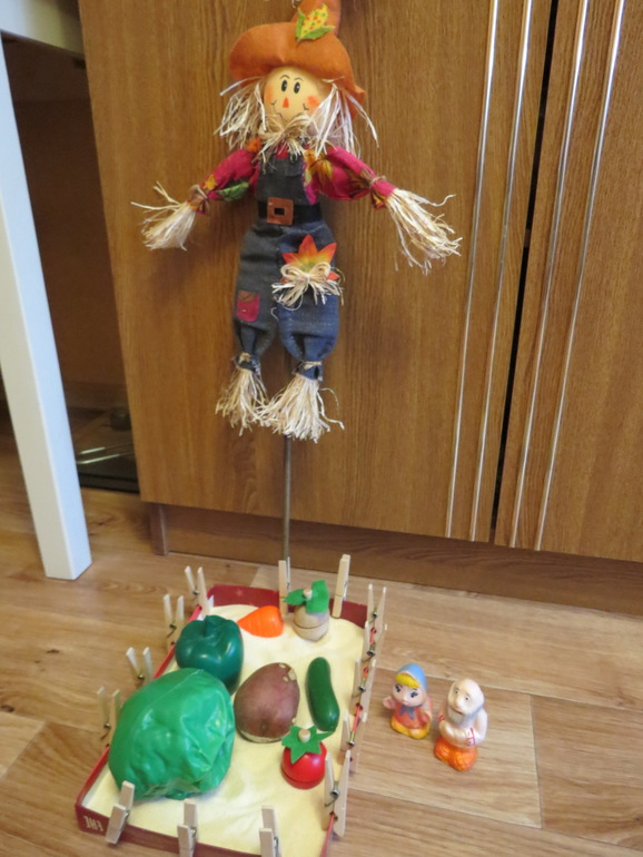 ТН "Как растут овощи" Отчет день 5