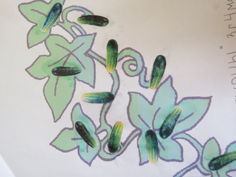 ТН "Как растут овощи" Отчет день 4