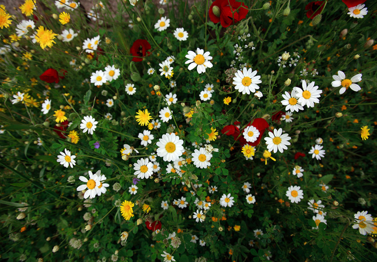 Давайте худеть к лету! Таблица 6.