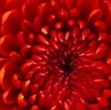 Давайте худеть к лету! Таблица 6.