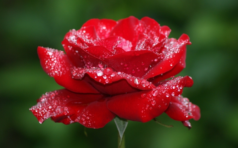 7d470eb7a38870b9f99c5511e6f58c6c.jpg