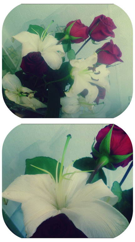 ღღღღღღღღღღღ