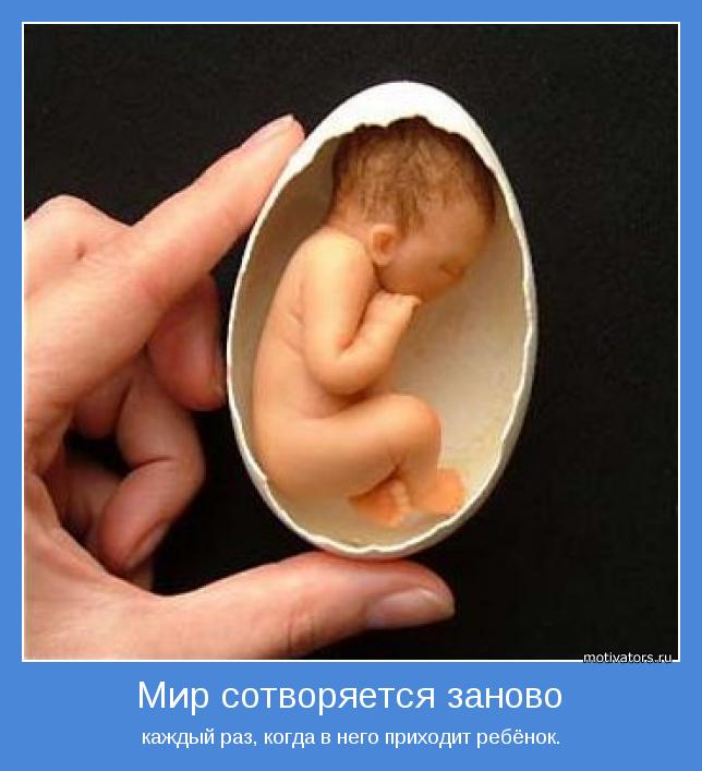 fb7118434fb7968f48119ecc0d13cd6f.jpg