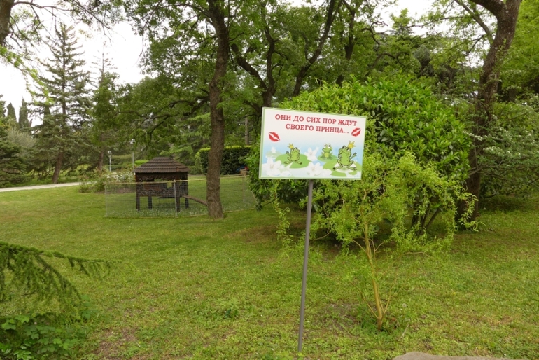 Ялта, Крым. КОК Россия