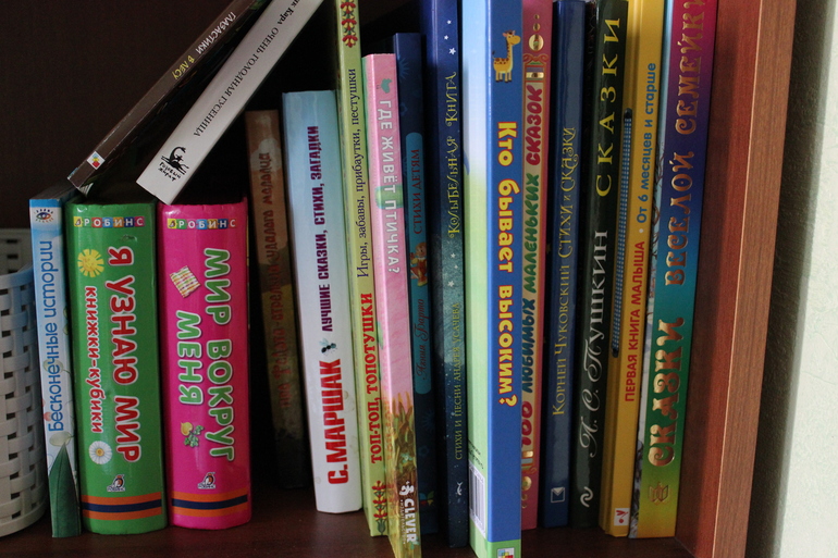 Наша книжная полка
