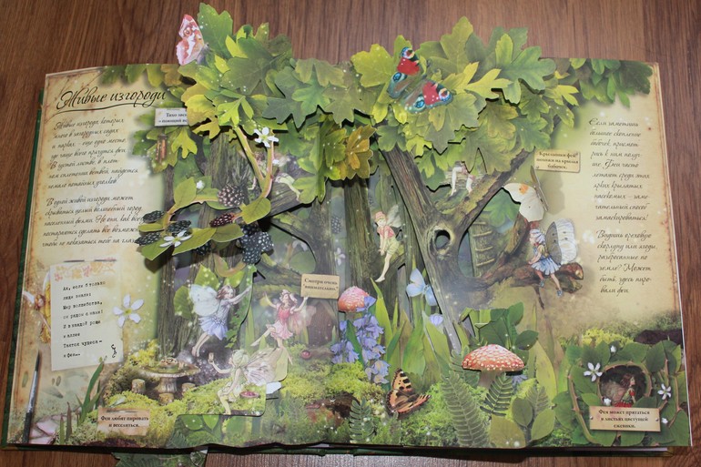 Наши книжечки или что мы читаем в год и 11 мес.