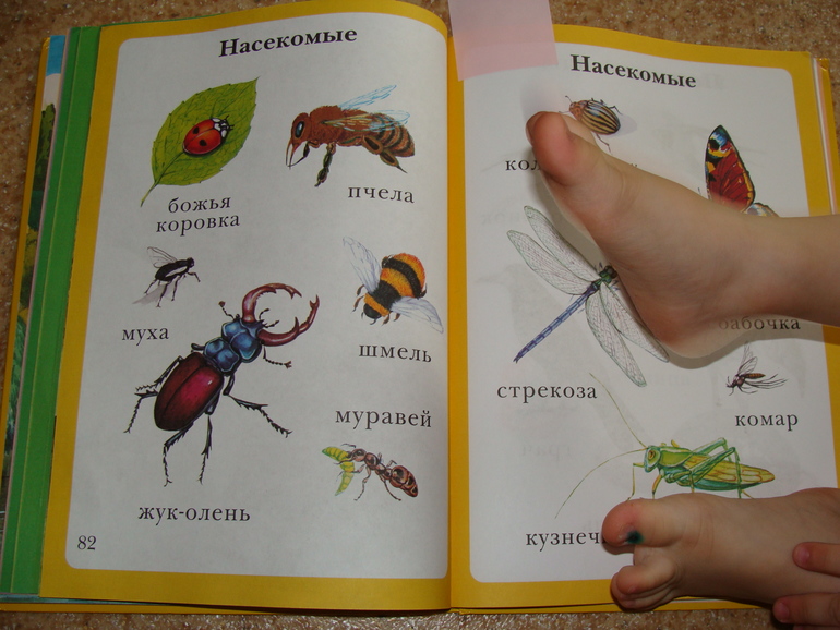 ТН Насекомые. Стрекоза и муравей и все-все-все (насекомые в литературе)