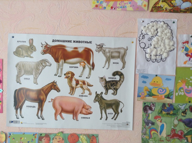 Домашние животные