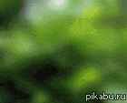 8ec4ab7ad7cee06eaf51d5bc9494855b.gif