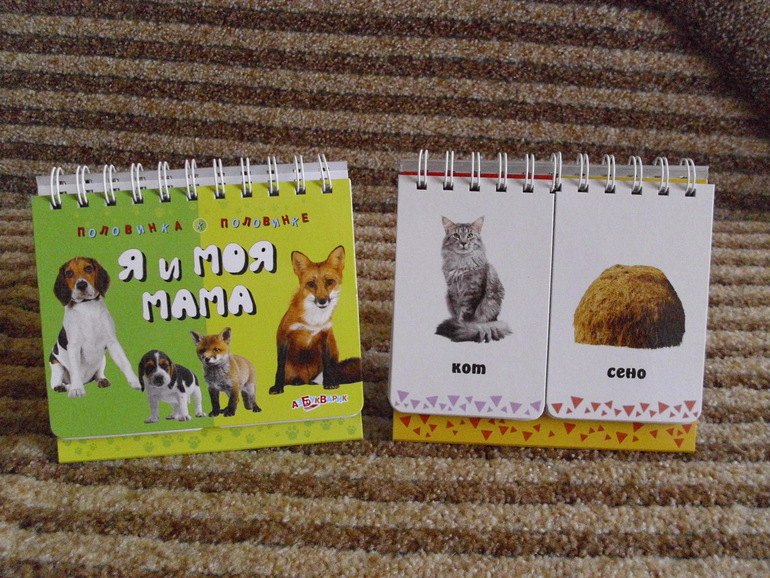 Наша маленькая библиотека (что читаем в 1,7)