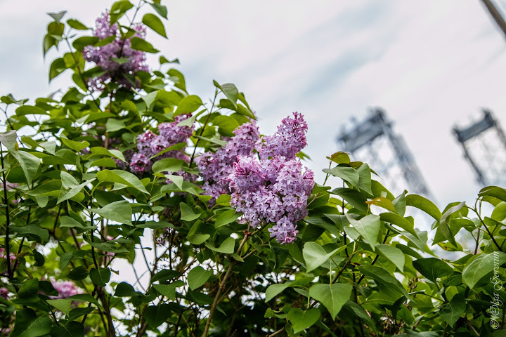 С ветерком по Nova Scotia