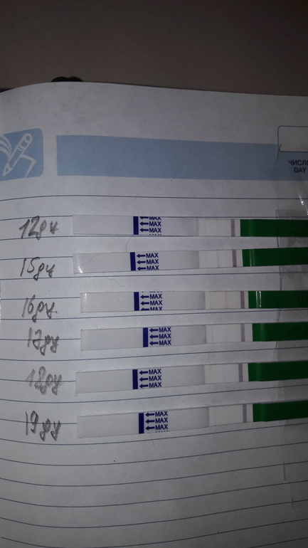 27 день цикла тест. 42 День цикла. 42 День цикла тест отрицательный. Тест отрицательный а месячных нет. 33 День цикла месячных.