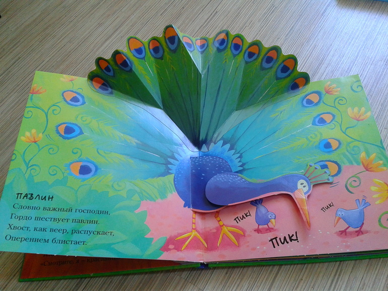 Подробнее про книжечки