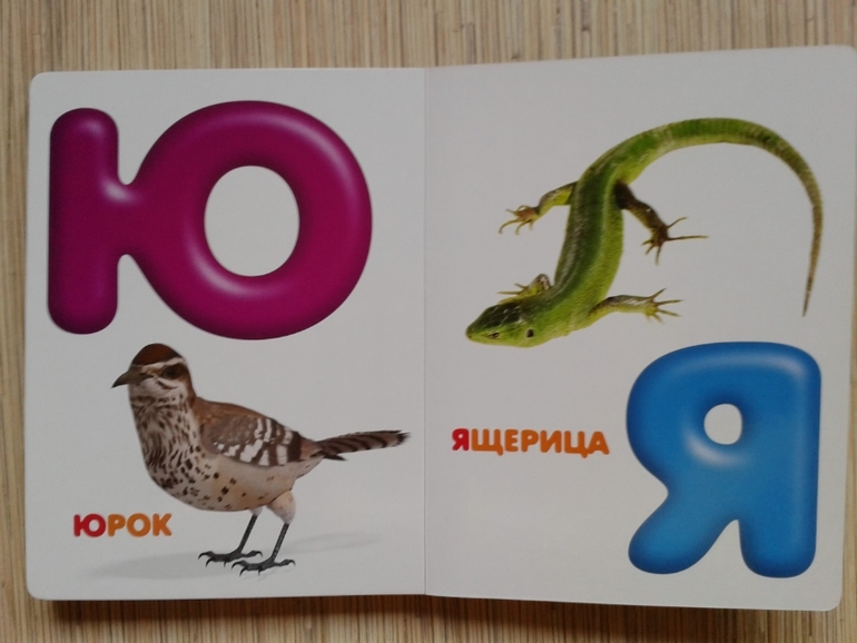 Живой алфавит с крупными буквами