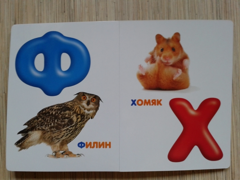 Живой алфавит с крупными буквами