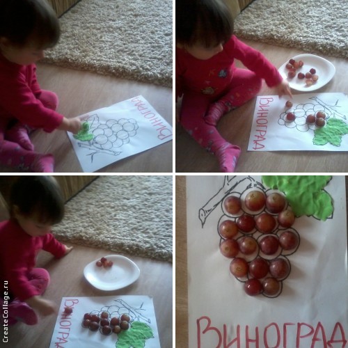 ТН Фрукты