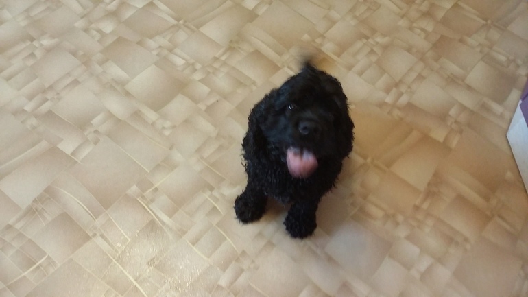 Марафон. День 7