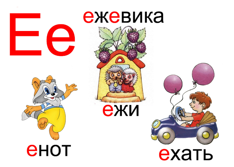 Слова на букву с для детей 1 класса с картинками