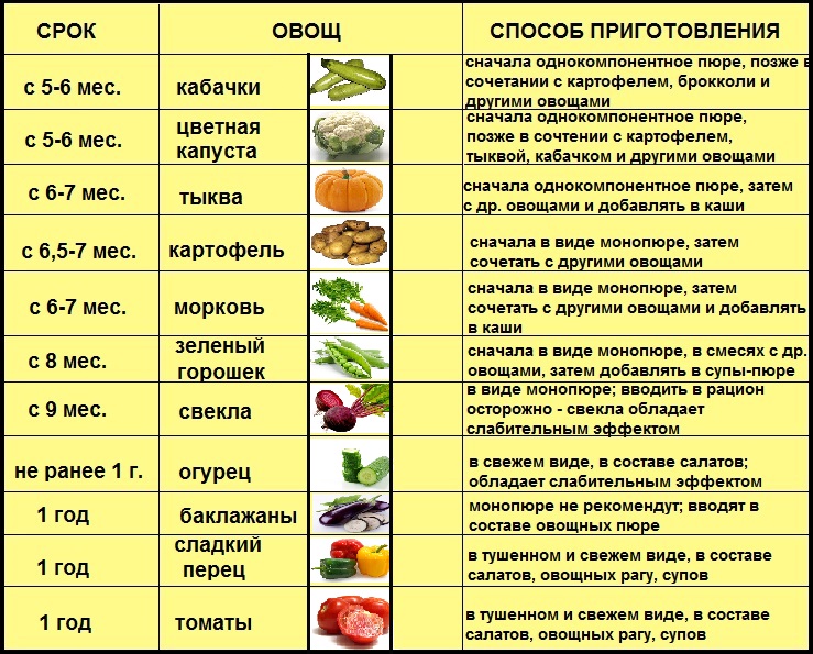 Схема введения овощей в прикорм