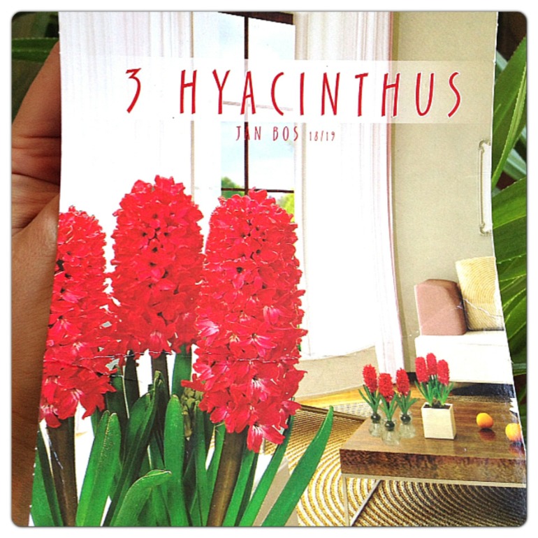 Радостные луковички....