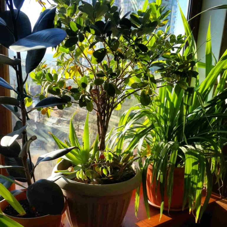 А в этот день, 5 лет назад......