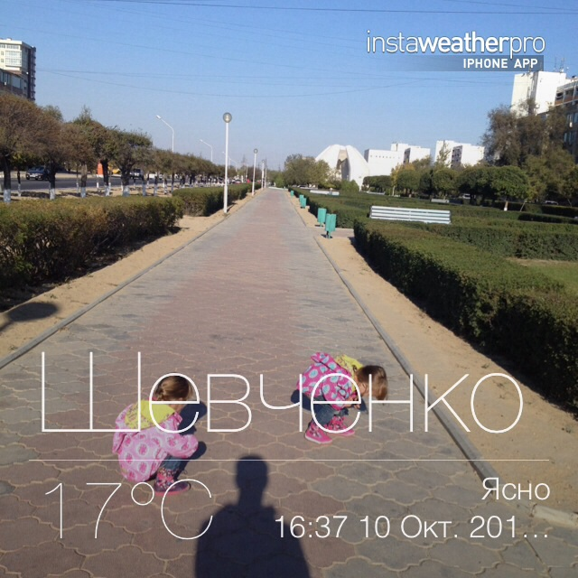 Радостные луковички....