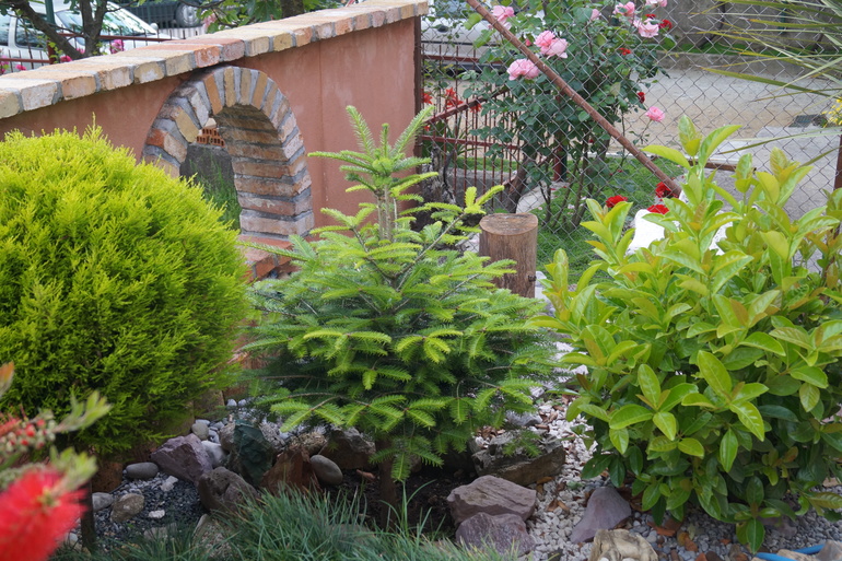 Наш майский отдых в Черногории (Тиват)