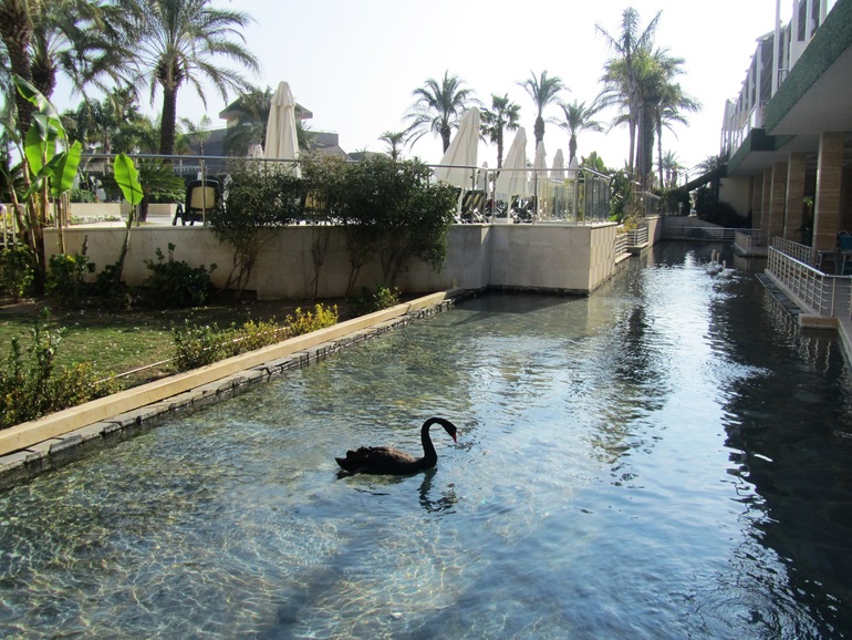 Нелюбимая Турция в несезон, оказывается здОрово!