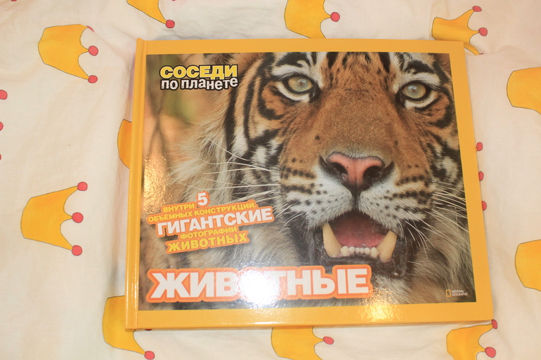 От погремушек до разв. игрушек, домик для хомячка, паровозы Чаггинтон ) пазлы, палатка и пр.