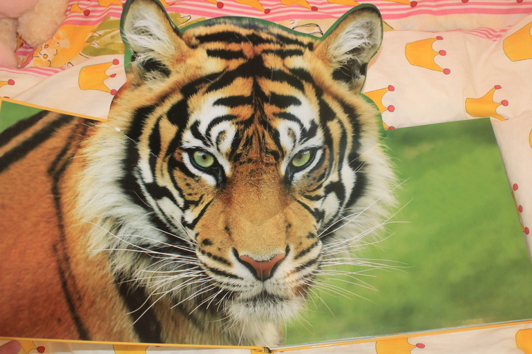 От погремушек до разв. игрушек, домик для хомячка, паровозы Чаггинтон ) пазлы, палатка и пр.