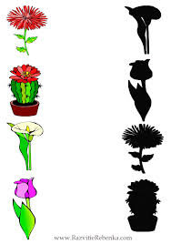 Задания на третий день